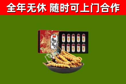 吉首回收冬虫夏草价格